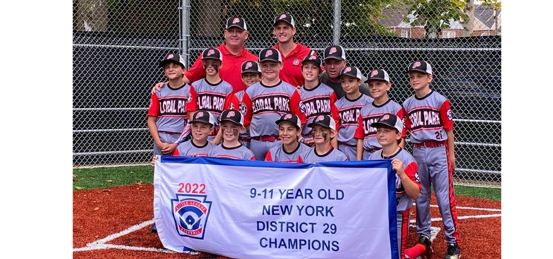 11U Baseball District 29 Champions
